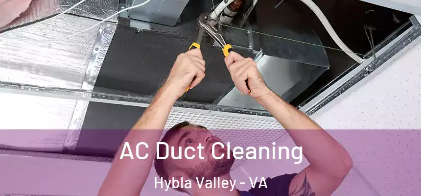  AC Duct Cleaning Hybla Valley - VA