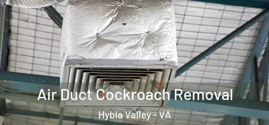 Air Duct Cockroach Removal Hybla Valley - VA