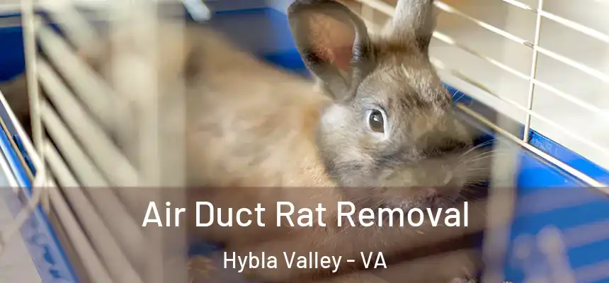  Air Duct Rat Removal Hybla Valley - VA