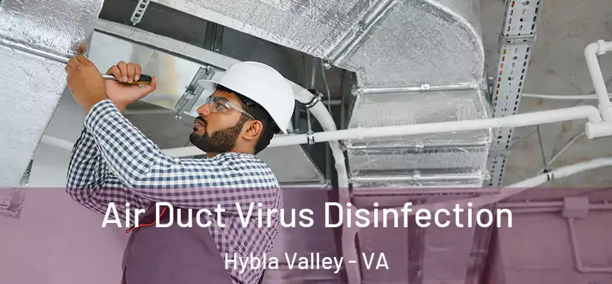  Air Duct Virus Disinfection Hybla Valley - VA
