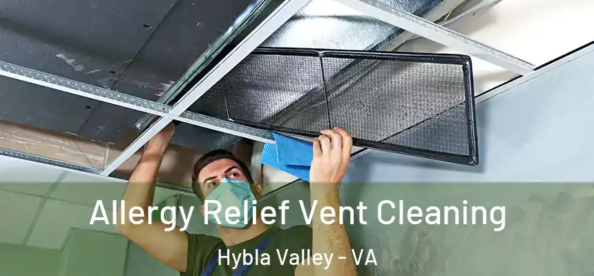 Allergy Relief Vent Cleaning Hybla Valley - VA