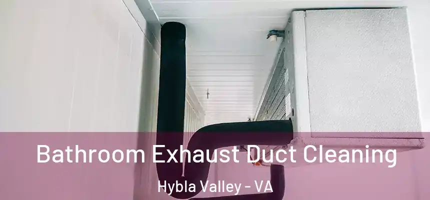 Bathroom Exhaust Duct Cleaning Hybla Valley - VA
