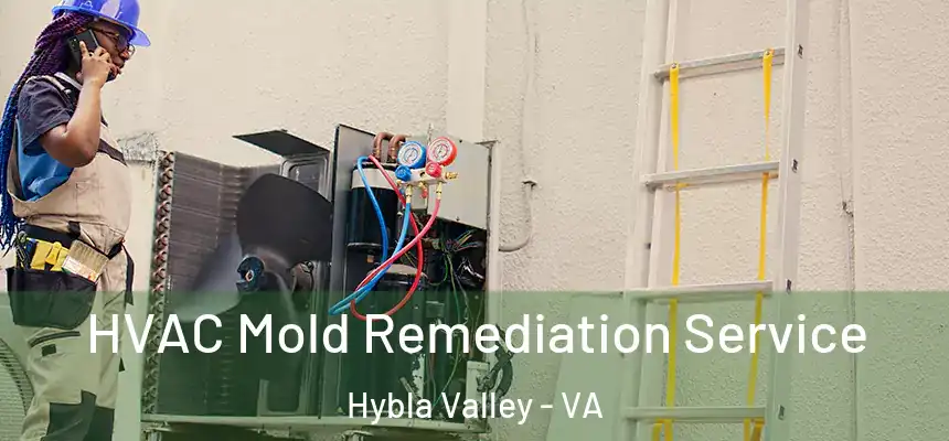  HVAC Mold Remediation Service Hybla Valley - VA