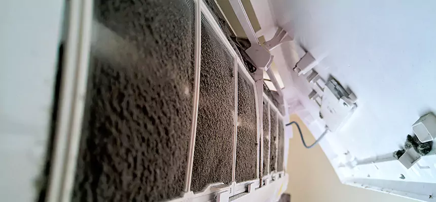 Preventive Air Duct Bacteria Removal in Hybla Valley