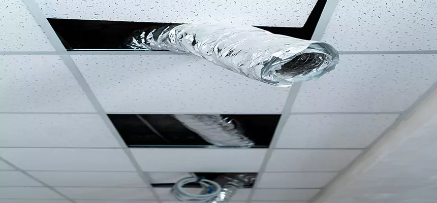 Affordable HVAC Sanitizing After Pest Removal in Hybla Valley