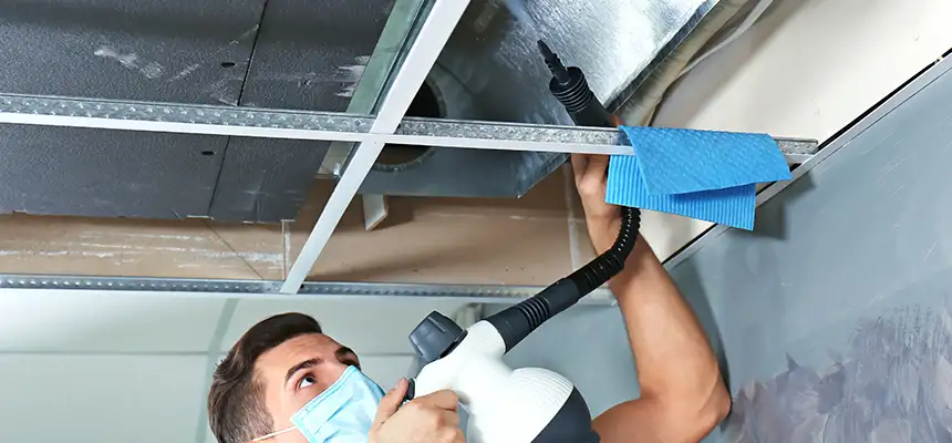 Our Air Duct Rodent Removal Services in Hybla Valley, VA