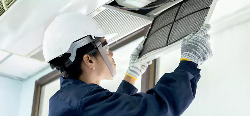 Our Mold & Mildew Removal from Air Ducts Services in Hybla Valley, VA