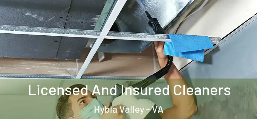  Licensed And Insured Cleaners Hybla Valley - VA
