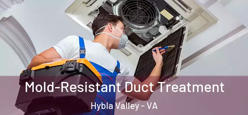  Mold-Resistant Duct Treatment Hybla Valley - VA
