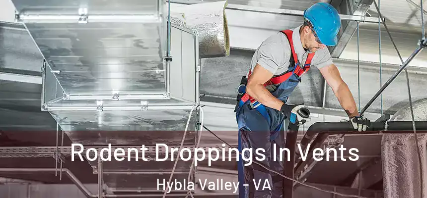  Rodent Droppings In Vents Hybla Valley - VA