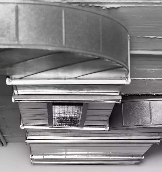 Professional Air Duct Pest Removal in Hybla Valley, VA