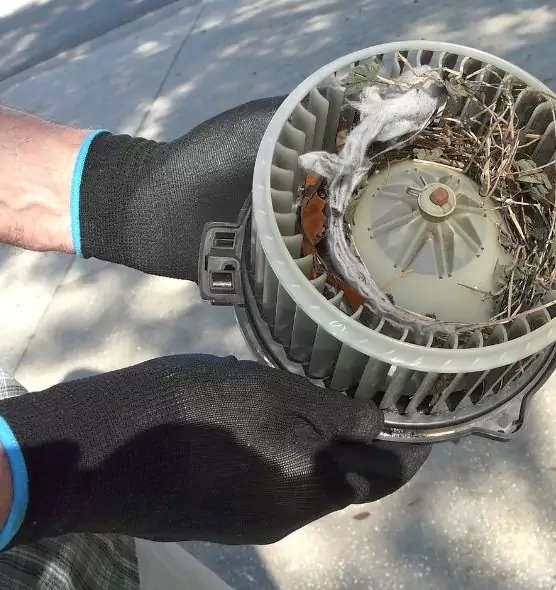 About Air Duct Rat Removal in Hybla Valley, VA