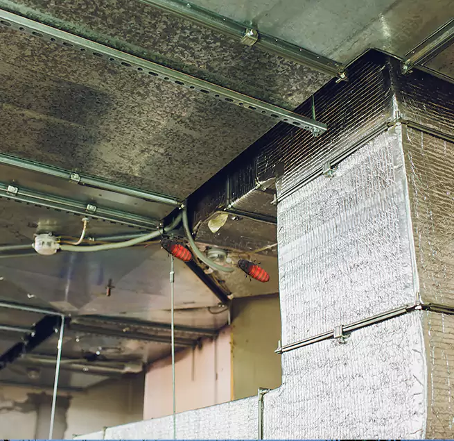 Why Homeowners & Businesses Trust Us in Hybla Valley, VA?