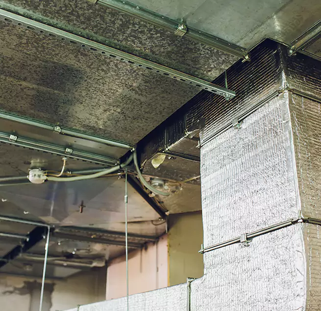 Why Homeowners & Businesses Trust Us in Hybla Valley, VA?