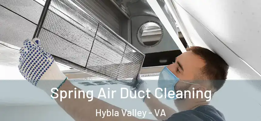  Spring Air Duct Cleaning Hybla Valley - VA