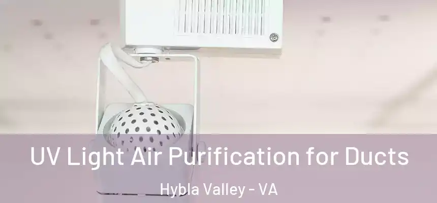  UV Light Air Purification for Ducts Hybla Valley - VA